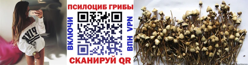 Галлюциногенные грибы мицелий купить закладку Няндома